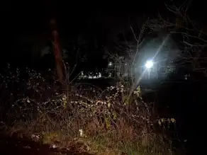 Arnavutköy'de Ceset Bulundu: Soruşturma Başladı
