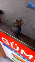 Beylikdüzü'nde El Bombası Paniği: Şüpheli Yakalama Çalışması Başladı