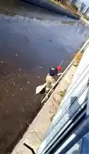 Ataköy'de Dereye Düşen Kedi Kurtarıldı!