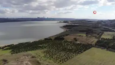 İstanbul'da Çoklu Cinayet: Detaylar Ortaya Çıktı