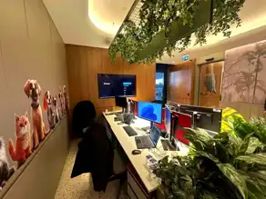 THY'den İstanbul Havalimanı'nda Pet Lounge