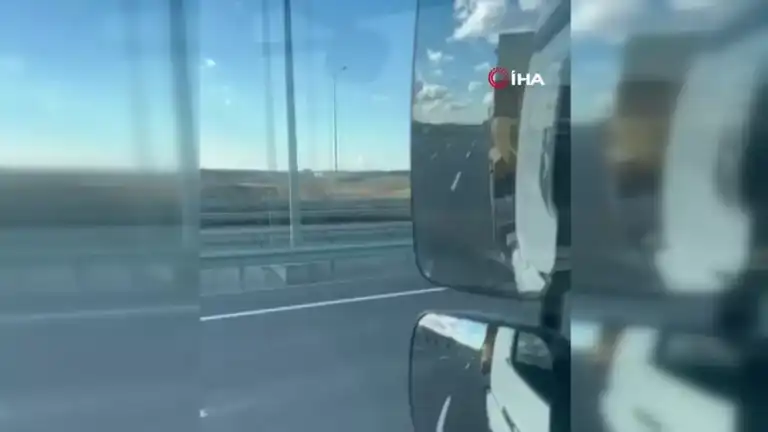 Otoyolda Başıboş Atlar Trafiği Felç Etti!