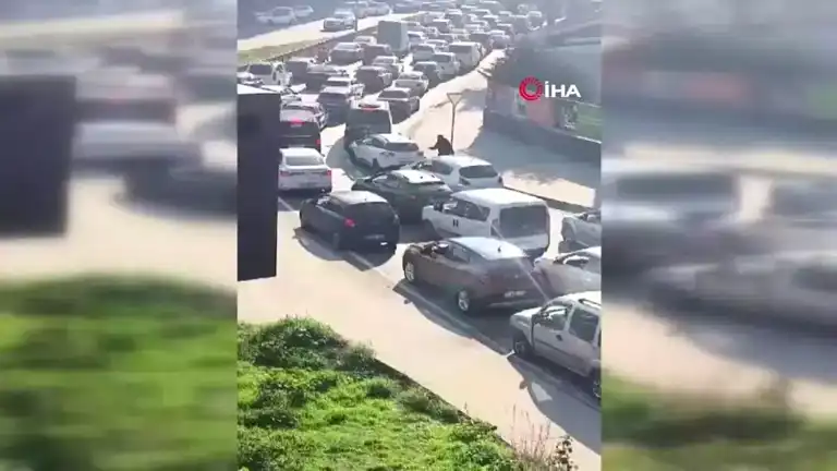 Esenler'de Trafik Kavgası: Sopalı Saldırı!